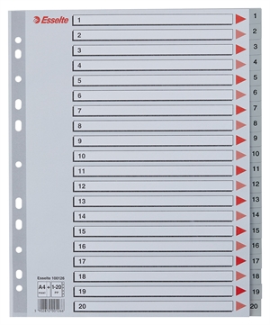 Esselte Register PP A4 maxi 1-20 sivo