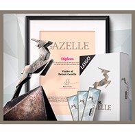 Børsen Gazelle podjetje 2019!