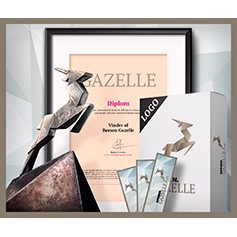 Børsen Gazelle podjetje 2019!