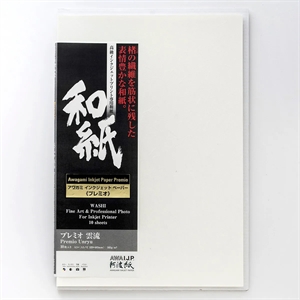Awagami Premio Unryu - 165 g/m², 10 listov