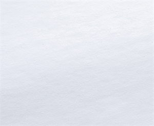Rauch Vinyl Matt PRO 220 Zunanja vinilna folija, samolepilna - 130 g/m², 42" x 30 metrov