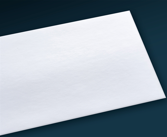 Rauch Vinyl Matt PRO 220 Zunanja vinilna folija, samolepilna - 130 g/m², 60" x 30 metrov